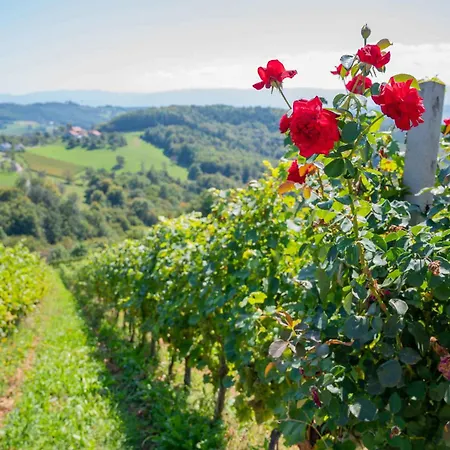 In Trzisce - Kranjska