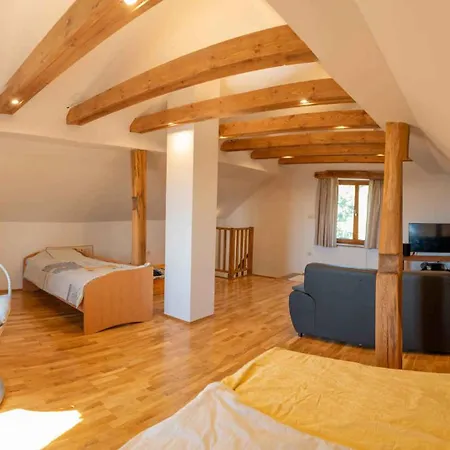 Semesterbostad In Trzisce - Kranjska *