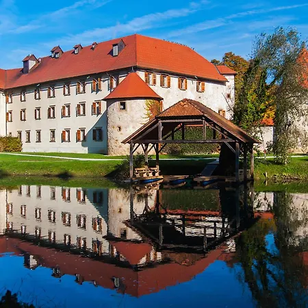 Dom wakacyjny In Trzisce - Kranjska